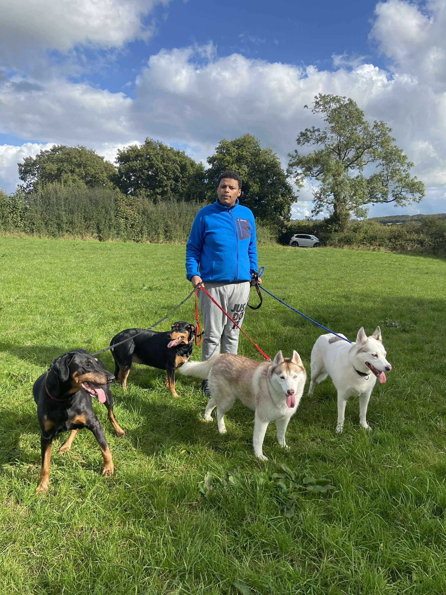 Volunteer playing with dogs